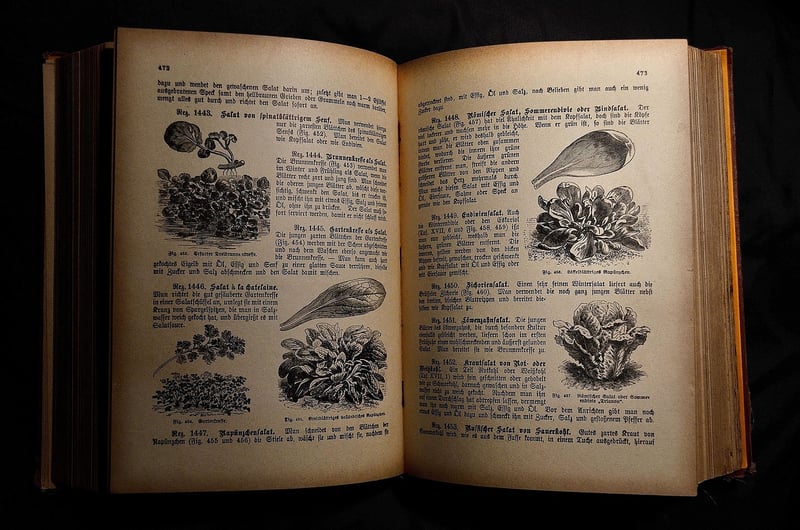 Cookies Image